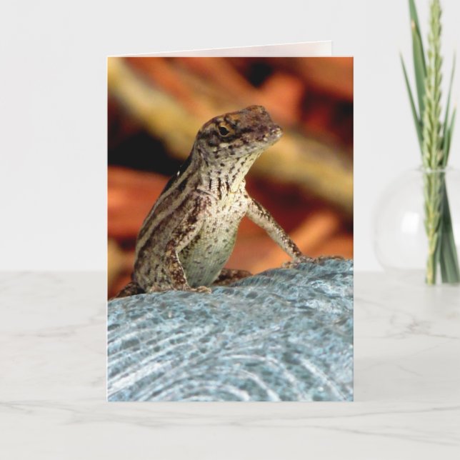 Brown Anole (Lizard) Greeting Card (Front)