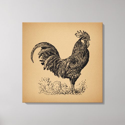 Brown Antique Rooster Illustration Chicken Art Canvas Print
