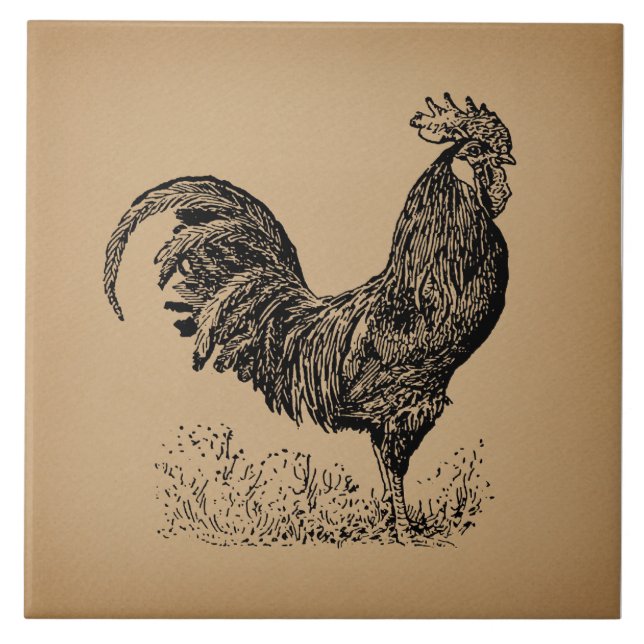 Brown Antique Rooster Illustration Chicken Art Ceramic Tile (Front)
