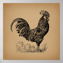 Brown Antique Rooster Illustration Chicken Art Poster