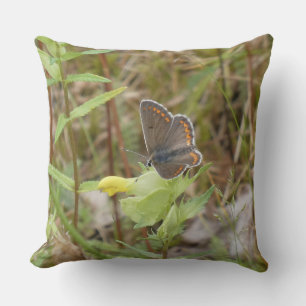 Brown Argus Butterfly Throw Pillow