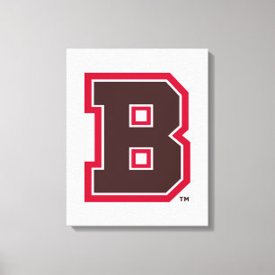 Brown B Canvas Print