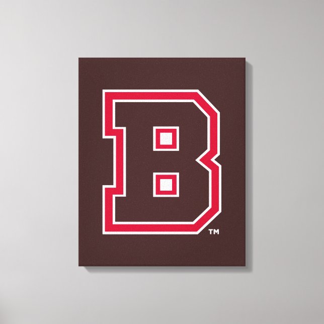 Brown B Canvas Print (Front)