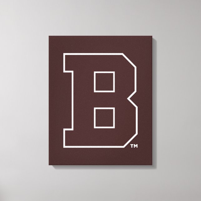 Brown B Canvas Print (Front)