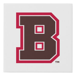 Brown B Faux Canvas Print