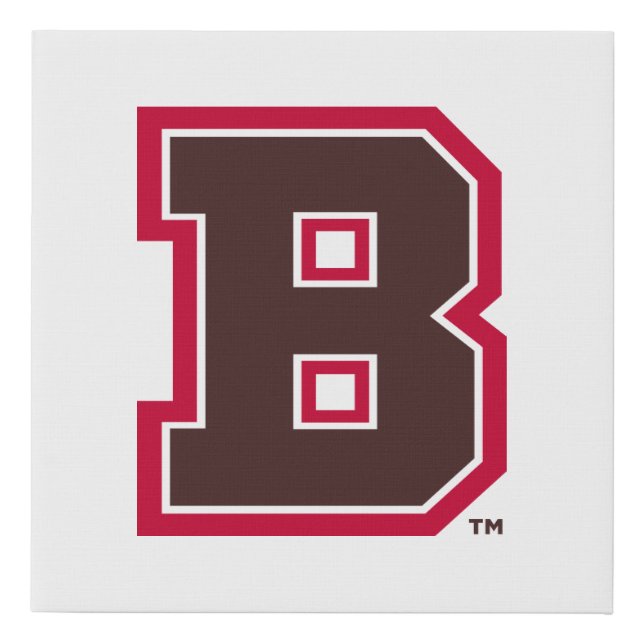 Brown B Faux Canvas Print (Front)