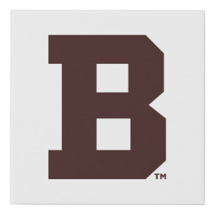 Brown B Faux Canvas Print