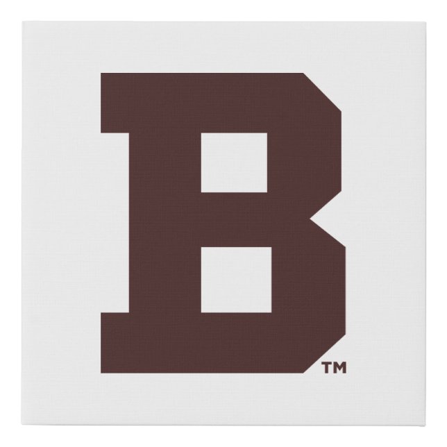 Brown B Faux Canvas Print (Front)