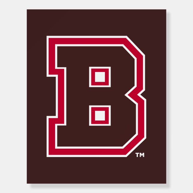 Brown B Foam Board (Front)