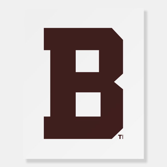 Brown B Foam Board (Front)