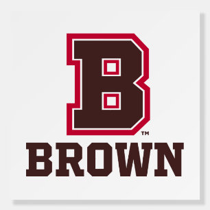 Brown   B Foam Board