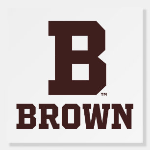 Brown   B Foam Board