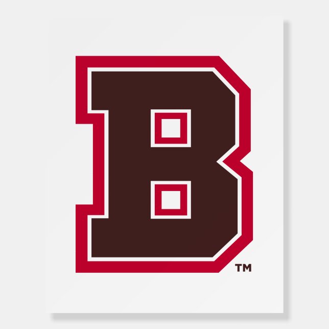 Brown B Foam Board (Front)