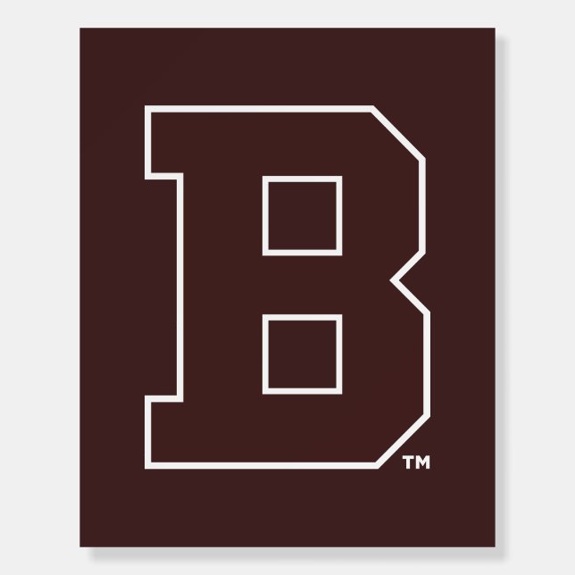 Brown B Foam Board (Front)