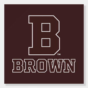 Brown   B Foam Board