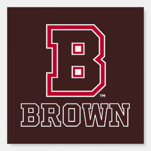 Brown   B Foam Board