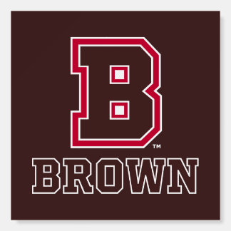 Brown | B Foam Board