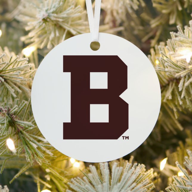 Brown B Metal Ornament (Insitu)