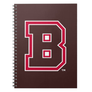 Brown B Notebook
