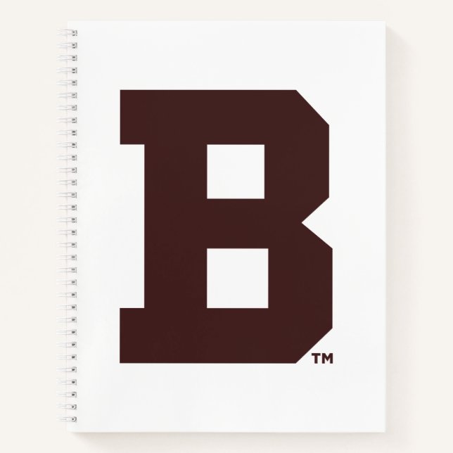 Brown B Notebook (Front)