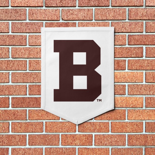 Brown B Pennant (Insitu 1)
