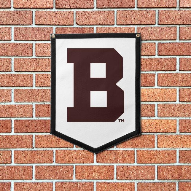 Brown B Pennant (Insitu 1)