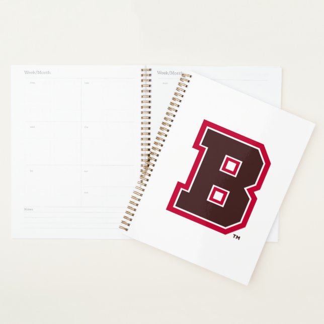 Brown B Planner (Display)