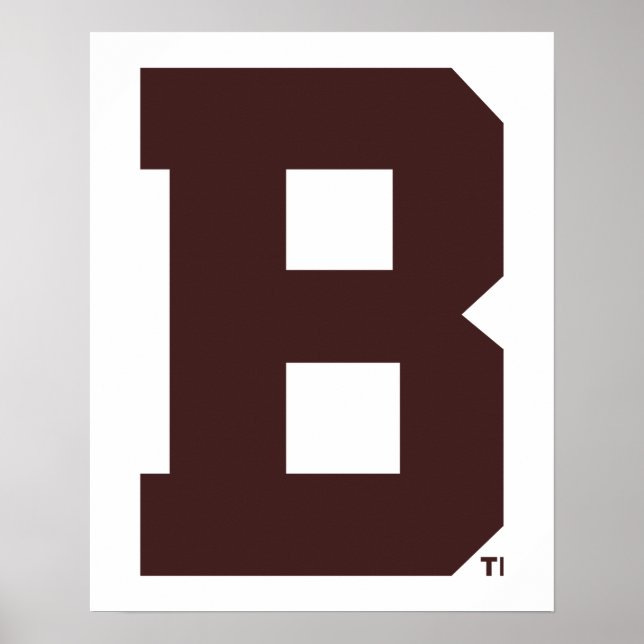 Brown B Poster (Front)