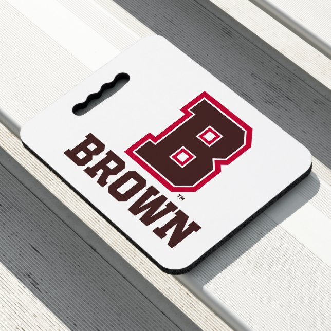 Brown | B Seat Cushion (In Situ)