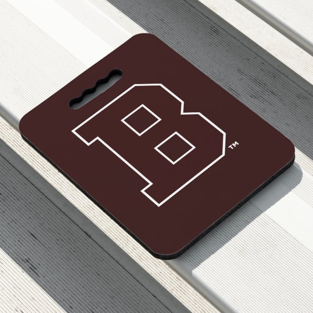 Brown B Seat Cushion (In Situ)