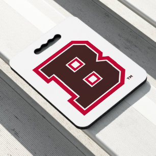 Brown B Seat Cushion