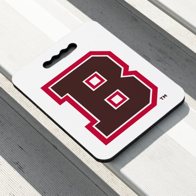 Brown B Seat Cushion (In Situ)