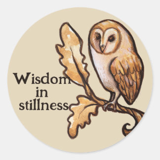 Brown Barn Owl                                     Classic Round Sticker