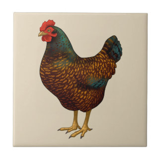 Brown Barnevelder Hen Chicken Ceramic Tile