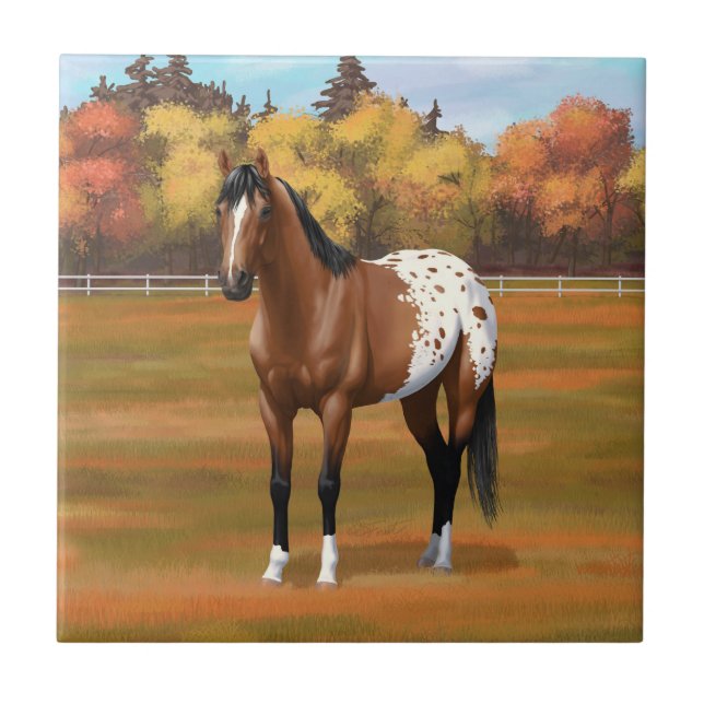 Brown Bay Appaloosa Horse in Autumn Pasture Ceramic Tile (Front)