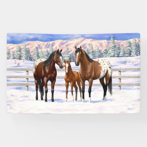 Brown Bay Appaloosa Horses In Snow Banner