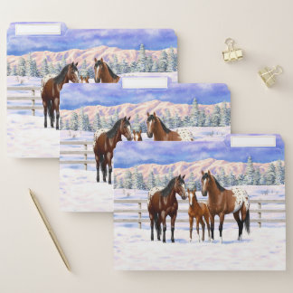 Brown Bay Appaloosa Horses In Snow File Folder