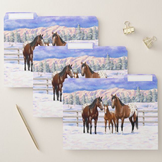 Brown Bay Appaloosa Horses In Snow File Folder (Set)