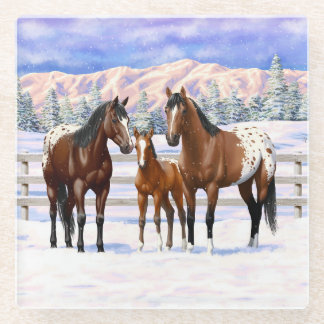 Brown Bay Appaloosa Horses In Snow Glass Coaster
