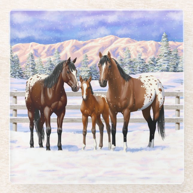 Brown Bay Appaloosa Horses In Snow Glass Coaster (Front)