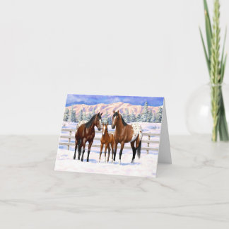 Brown Bay Appaloosa Horses In Snow Holiday Card