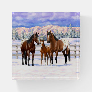 Brown Bay Appaloosa Horses In Snow Paperweight