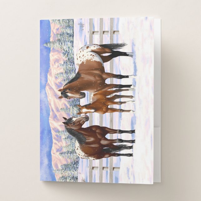 Brown Bay Appaloosa Horses In Snow Pocket Folder (Front)