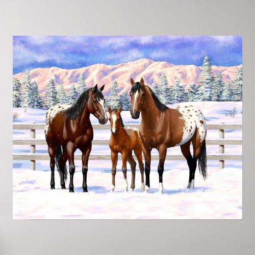 Brown Bay Appaloosa Horses In Snow Poster
