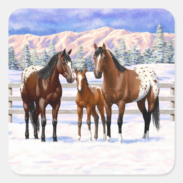 Brown Bay Appaloosa Horses In Snow Square Sticker (Front)