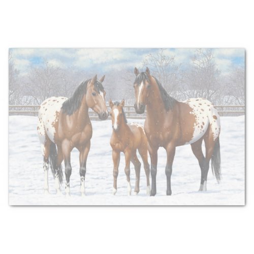 Brown Bay Appaloosa Horses In Snow Tissue Paper