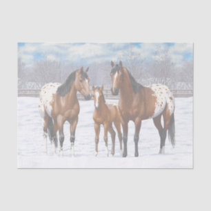 Brown Bay Appaloosa Horses In Snow Tissue Paper