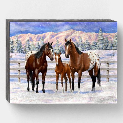 Brown Bay Appaloosa Horses In Snow Wooden Box Sign