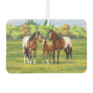 Brown Bay Appaloosa Horses In Summer Pasture Air Freshener