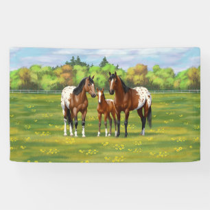 Brown Bay Appaloosa Horses In Summer Pasture Banner